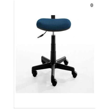 Adjustable Height Swivel Task Chair